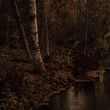 Pimeyttä vasten