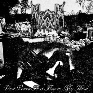 Xansomnia - Dear Voices that Flow in My Head
