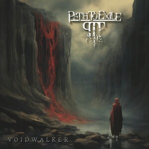 Path to Exile - Voidwalker