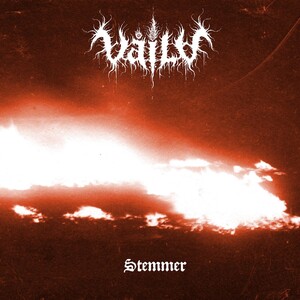 Våild - Stemmer