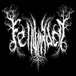 Image band