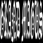 Image band