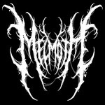 Image band