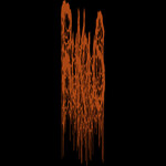 Image band
