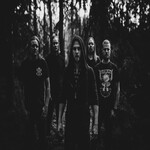Image band