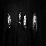 Image band