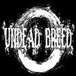Image band
