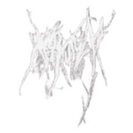Image band