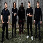 Image band