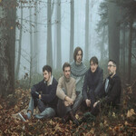 Image band