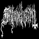 Image band
